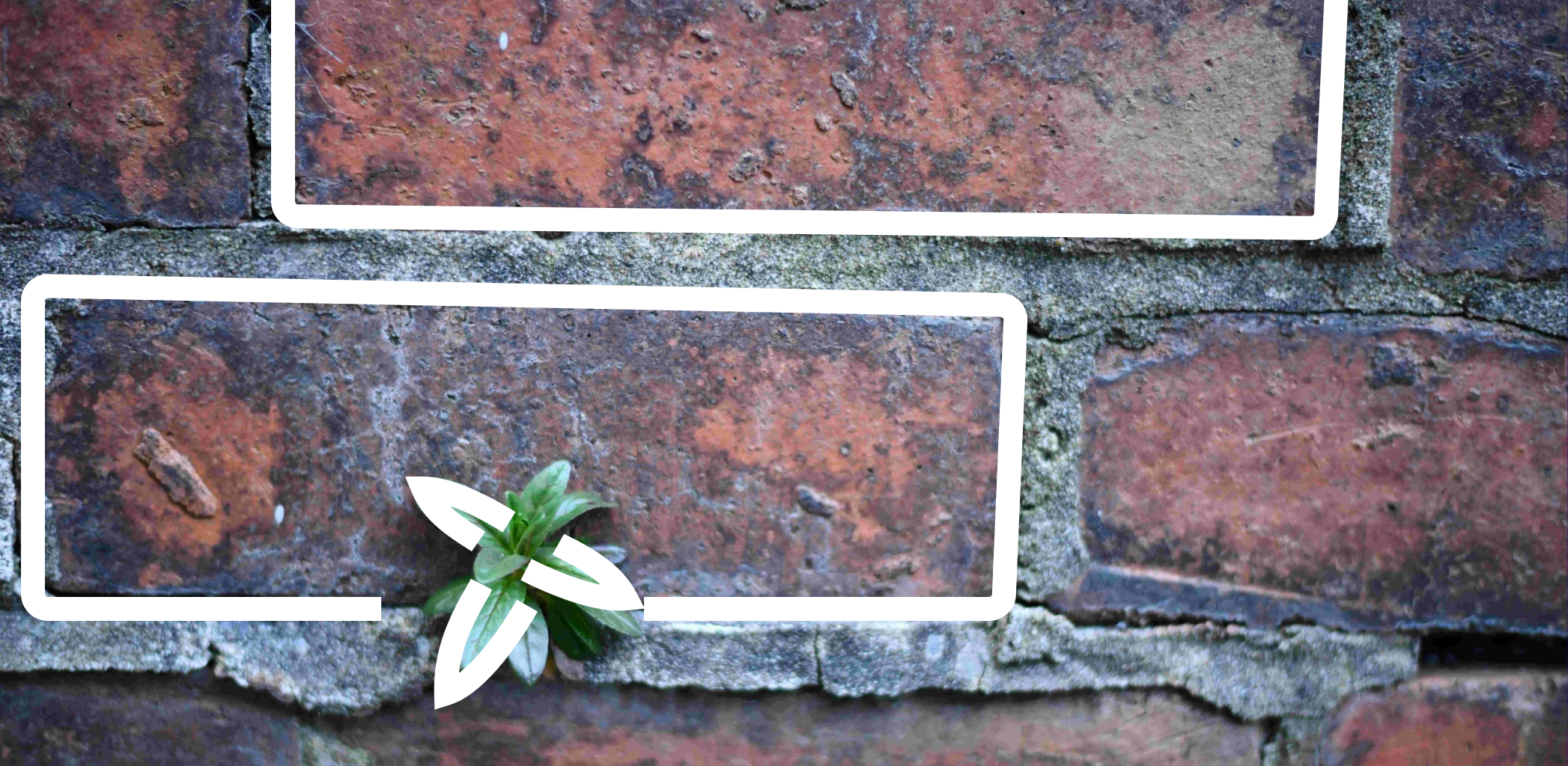 Иллюстрация к статье - Сэндвич-панель: надежный материал для строительства Сэндвич-панель: надежный материал для строительства